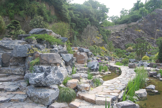 上海辰山植物园矿坑花园与岩石园详解的图41