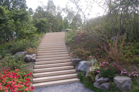 上海辰山植物园矿坑花园与岩石园详解的图15