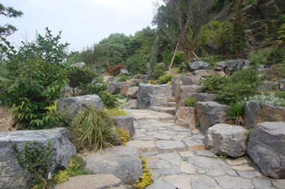 上海辰山植物园矿坑花园与岩石园详解的图7