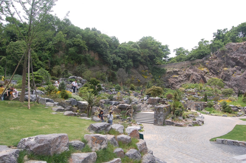 上海辰山植物园矿坑花园与岩石园详解的图37