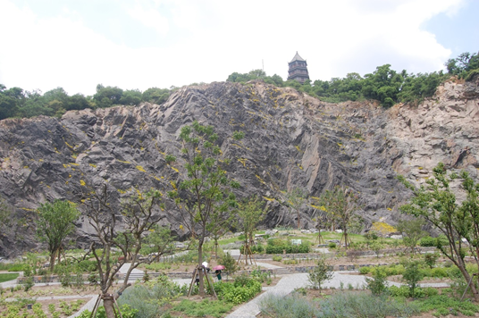 上海辰山植物园矿坑花园与岩石园详解的图31