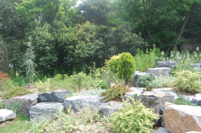 上海辰山植物园矿坑花园与岩石园详解的图13