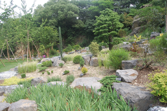 上海辰山植物园矿坑花园与岩石园详解的图47