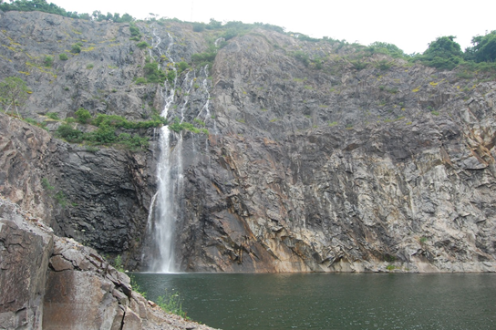 上海辰山植物园矿坑花园与岩石园详解的图23