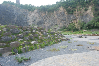 上海辰山植物园矿坑花园与岩石园详解的图11