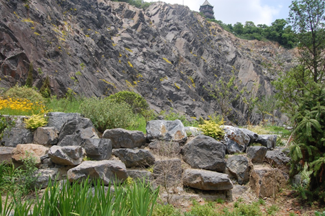 上海辰山植物园矿坑花园与岩石园详解的图39