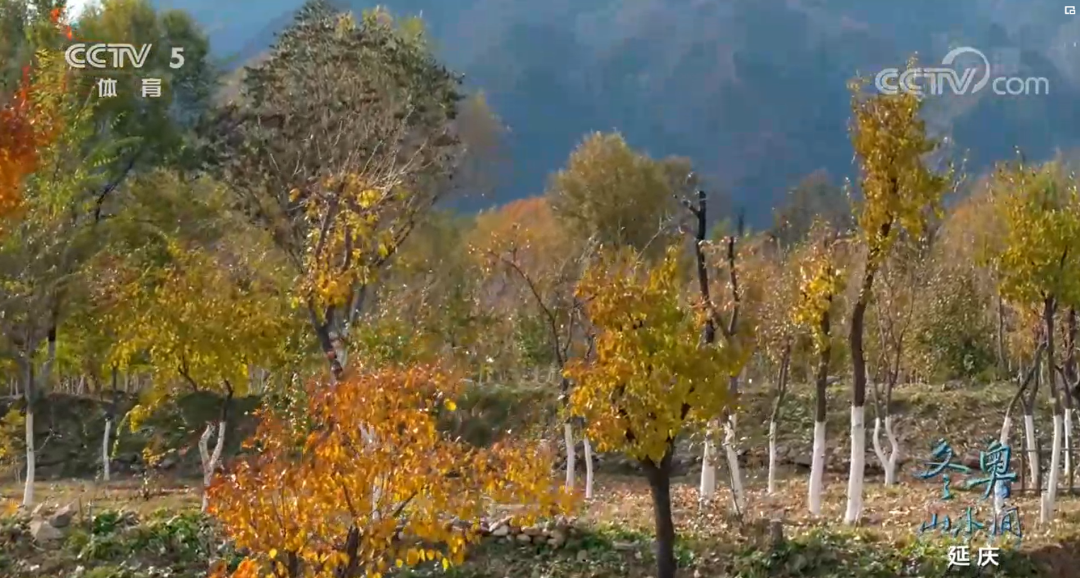 北京冬奧場館周邊的生態修復的圖19