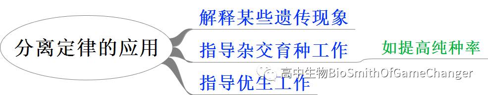 孟德尔三大遗传定律_孟德尔遗传定律图解_孟德尔的遗传定律包括