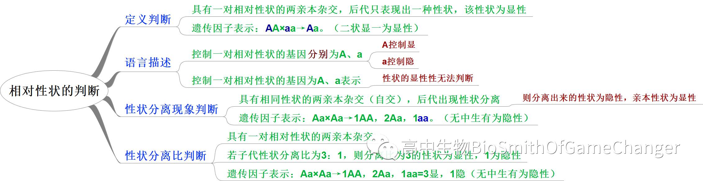 孟德尔遗传定律图解_孟德尔三大遗传定律_孟德尔的遗传定律包括