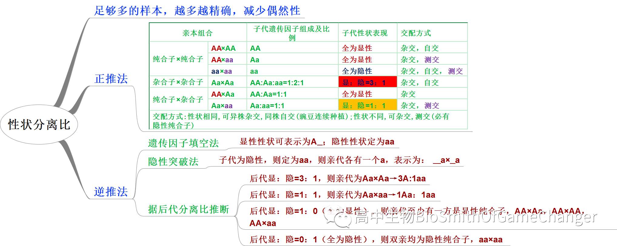 孟德尔的遗传定律包括_孟德尔遗传定律图解_孟德尔三大遗传定律