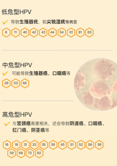hpvdna分型分为什么型【测评】HPV分型自检「小黄盒」火出圈，_https://www.jmylbn.com_新闻资讯_第3张