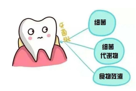 ems洁牙机怎么用EMS洁牙，一种全新的洁牙体验！_https://www.jmylbn.com_新闻资讯_第3张