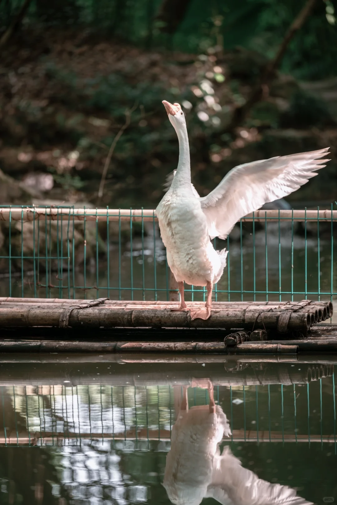 ae14865e-6d95-40a2-a48e-108687ae9e7f.png