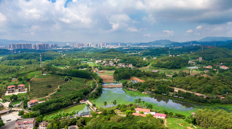 魅力博罗乡村振兴新画卷美罗阳东江画廊