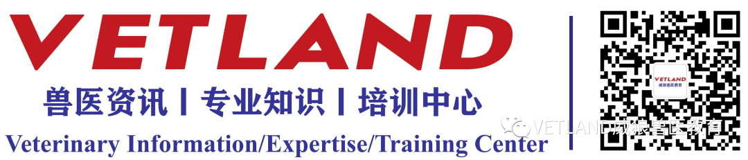 怎么戴面罩吸氧【行业标准】犬猫氧气疗法技术指导规范，怎么吸氧？有哪几种适用方法？_https://www.jmylbn.com_新闻资讯_第8张