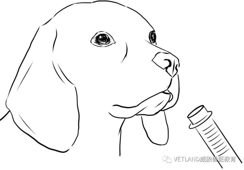 怎么戴面罩吸氧【行业标准】犬猫氧气疗法技术指导规范，怎么吸氧？有哪几种适用方法？_https://www.jmylbn.com_新闻资讯_第2张