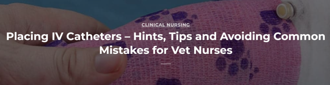 留置针怎么贴胶带【译文推荐】静脉留置针的放置：给兽医助理的提示、技巧和避免常见错误_https://www.jmylbn.com_新闻资讯_第2张