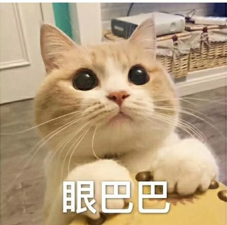 雨见浏览器APP一款非常好用的手机软件，支持各种浏览器插件(图2)
