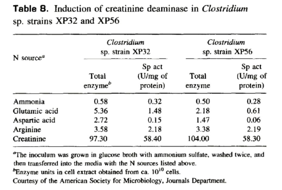 英语个人简历表格_作文根据表格雨伞英语_表格英语