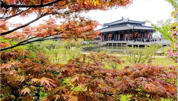 94版三国演义老戏骨故地重游！这些故事你绝对不知道