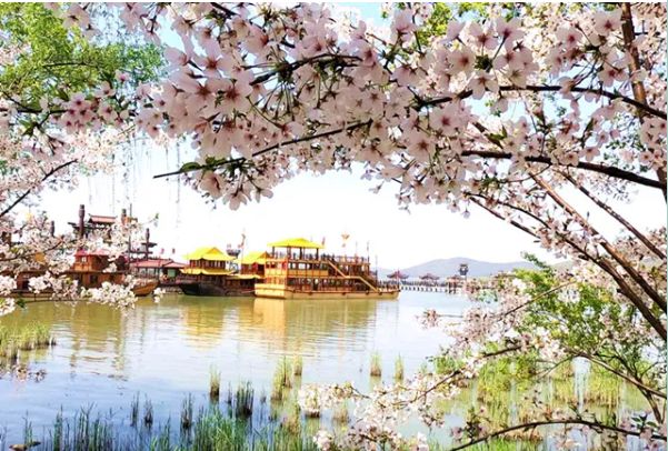 94版三国演义老戏骨故地重游！这些故事你绝对不知道