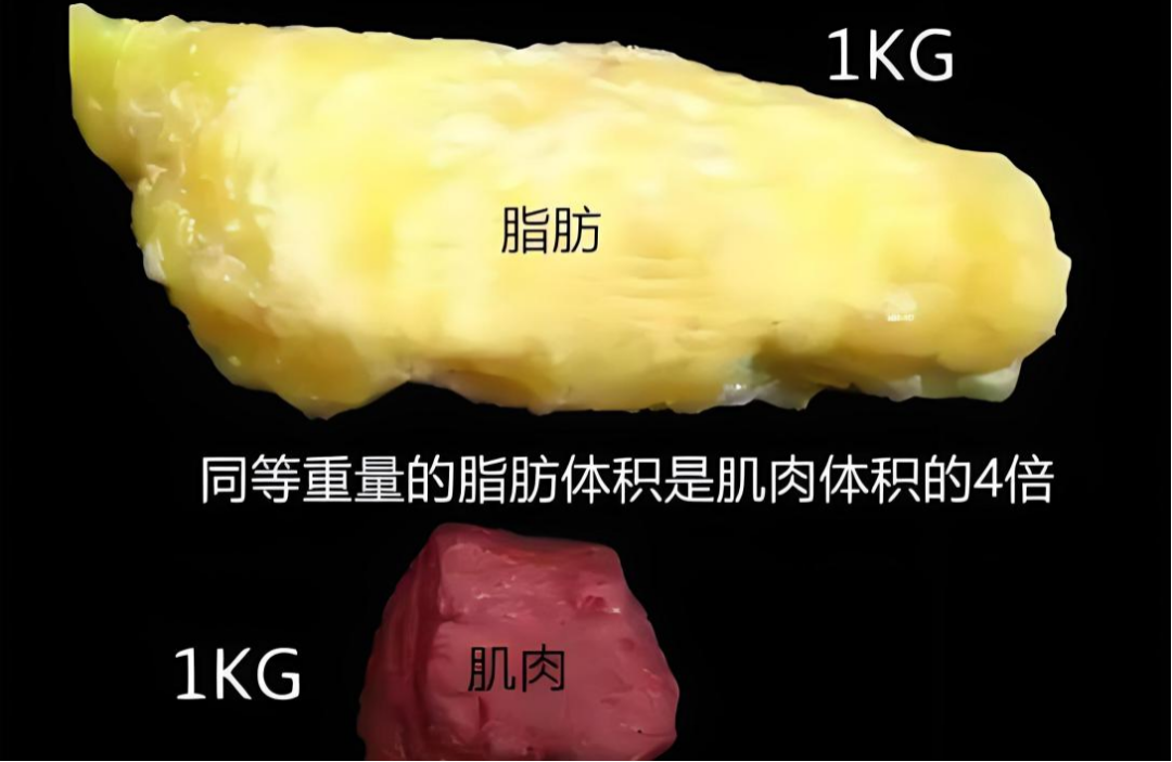 inbody仪怎么调【新技术】我院临床营养科引进Inbody人体成分分析仪_https://www.jmylbn.com_新闻资讯_第3张