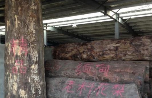 10年前的缅甸花梨什么样？你还记得吗？