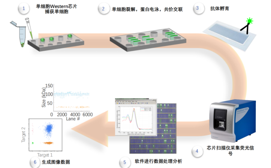 640?wx_fmt=png&from=appmsg