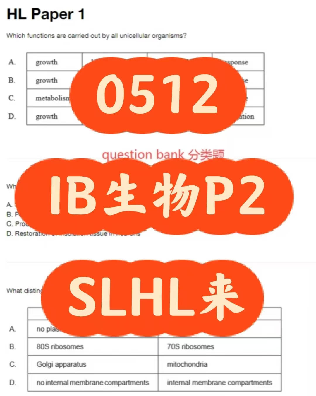 IB课程辅导