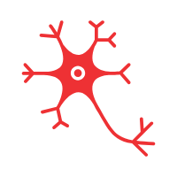 以電鏡視角切入神經(jīng)科學(xué)的跨尺度研究（二）：疼痛/阿片類藥物及相關(guān)疾病