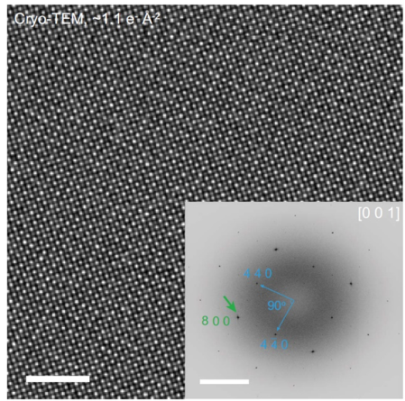 Falcon 4i：為電子束敏感材料的高分辨成像提供新解決方案