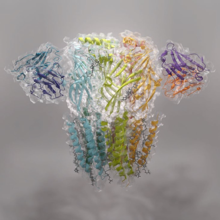 以電鏡視角切入神經(jīng)科學(xué)的跨尺度研究（二）：疼痛/阿片類藥物及相關(guān)疾病