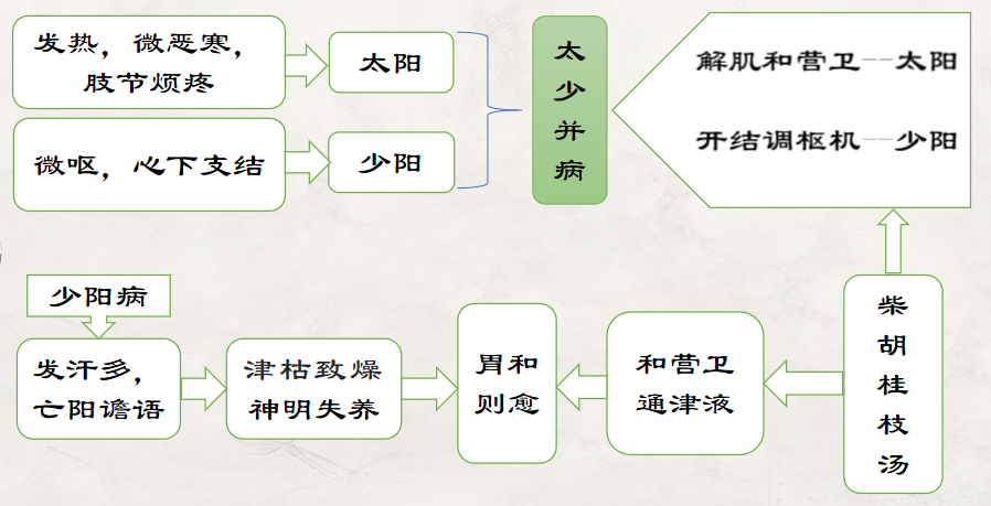 伤寒论柴胡桂枝汤,【经方论坛】柴胡桂枝汤