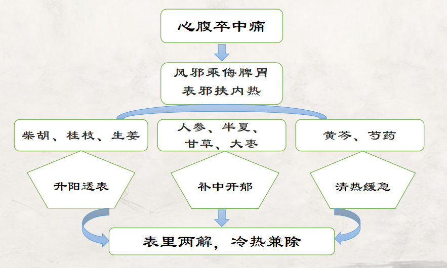 伤寒论柴胡桂枝汤