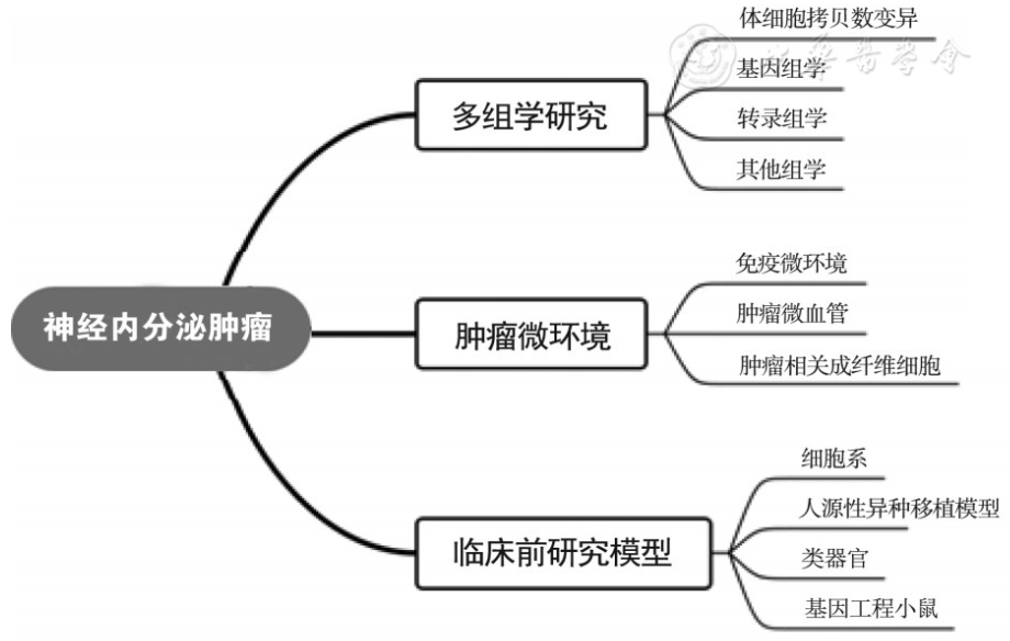 述评 神经内分泌肿瘤基础与转化研究进展 全网搜