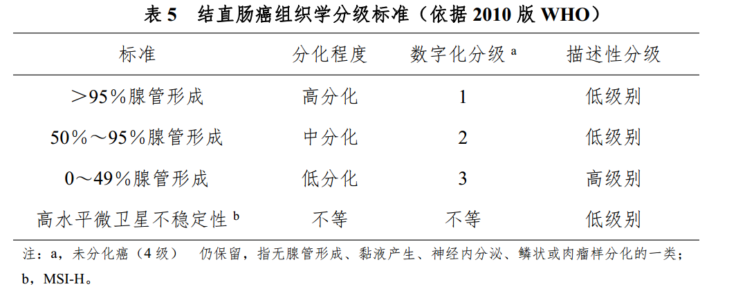 什么是放疗定位膜中国结直肠癌诊疗规范（2020）_https://www.jmylbn.com_新闻资讯_第11张