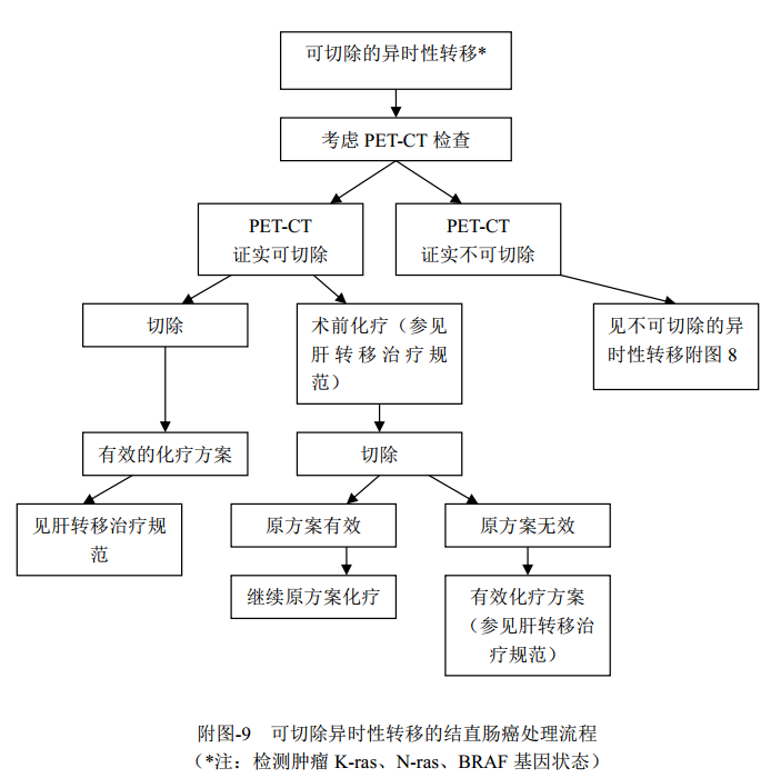 什么是放疗定位膜中国结直肠癌诊疗规范（2020）_https://www.jmylbn.com_新闻资讯_第29张
