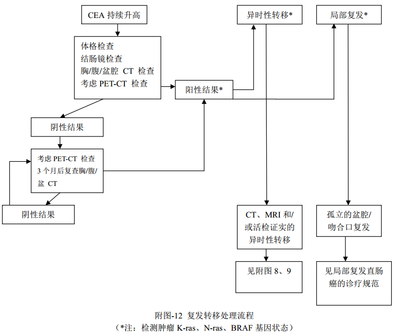 什么是放疗定位膜中国结直肠癌诊疗规范（2020）_https://www.jmylbn.com_新闻资讯_第32张