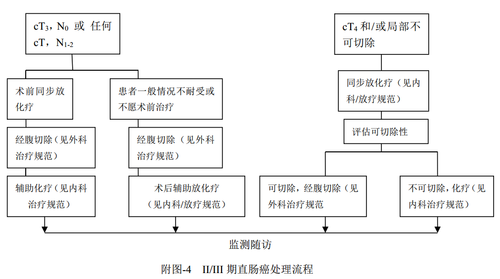 什么是放疗定位膜中国结直肠癌诊疗规范（2020）_https://www.jmylbn.com_新闻资讯_第24张
