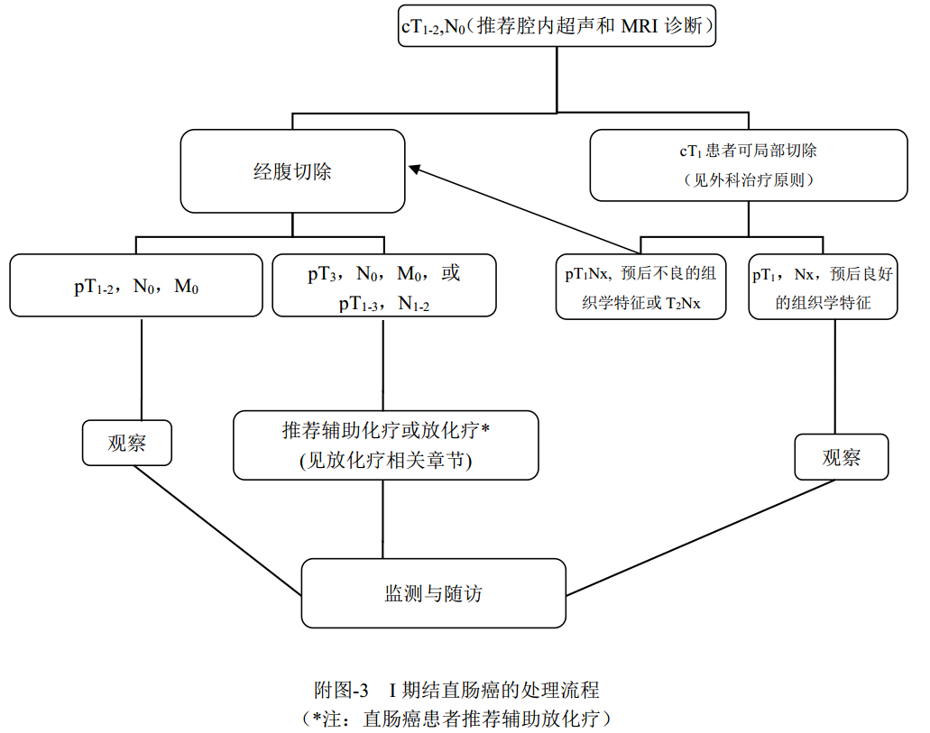 什么是放疗定位膜中国结直肠癌诊疗规范（2020）_https://www.jmylbn.com_新闻资讯_第23张