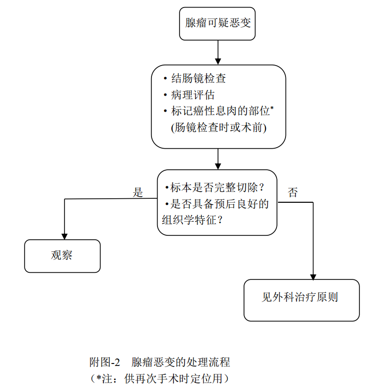 什么是放疗定位膜中国结直肠癌诊疗规范（2020）_https://www.jmylbn.com_新闻资讯_第22张