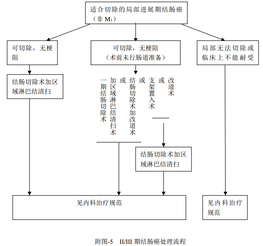 什么是放疗定位膜中国结直肠癌诊疗规范（2020）_https://www.jmylbn.com_新闻资讯_第25张