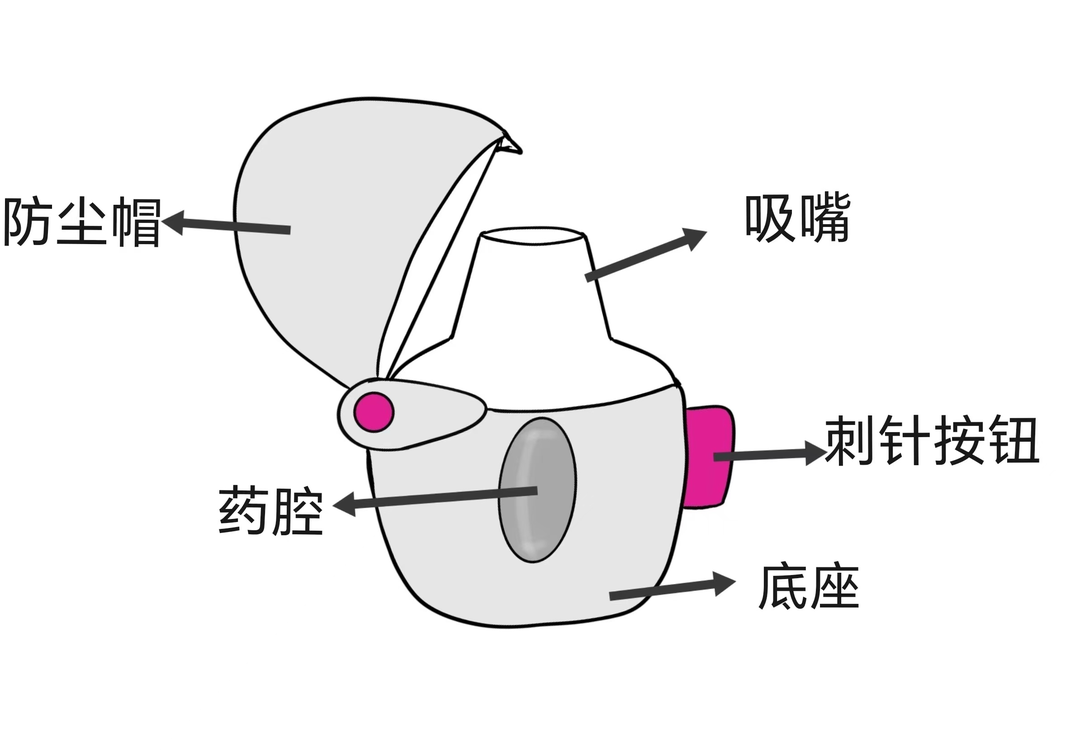 新呼泰怎么用你见过可以吸入的胶囊吗？——噻托溴铵吸入剂的使用指导_https://www.jmylbn.com_新闻资讯_第1张
