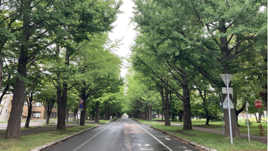 北海道の夏 我的北海道旅记 北海道大学花费 下篇 北海新闻