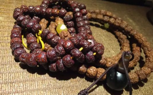 菩提子有几种颜色_鬼脸菩提颜色_菩提树苗在北方能种吗