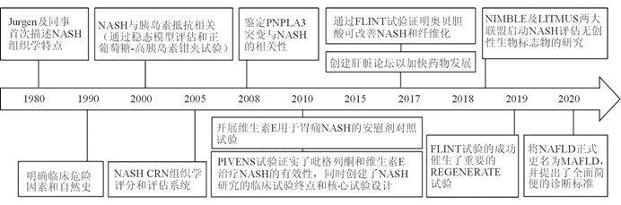 Mafld 韩琳谢欢邹正升 肝脏 代谢相关脂肪性肝病的诊断与评估现状 全网搜