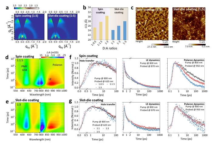Morphology and photophysical characterization