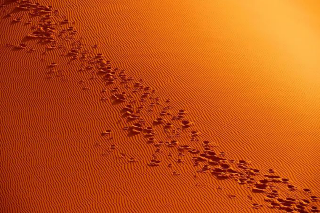 聰旅專欄 | 沙漠與海，千篇色彩染成一種斑斕叫摩洛哥 旅遊 第15張
