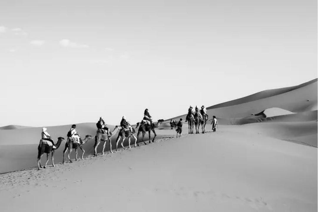 聰旅專欄 | 沙漠與海，千篇色彩染成一種斑斕叫摩洛哥 旅遊 第13張