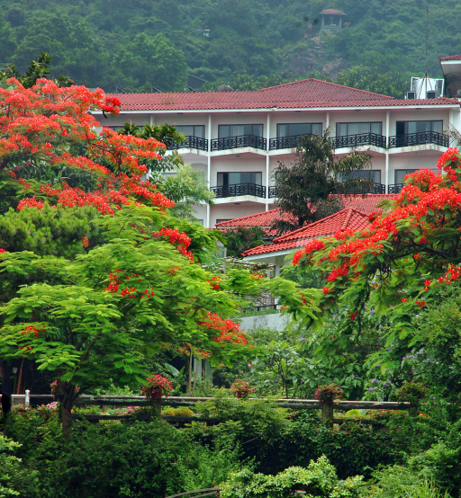 深圳春节旅游攻略